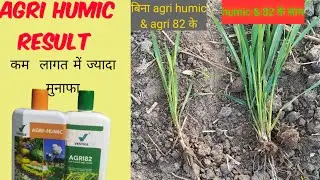 vestige agri humic & agri 82 result in hindi || kam lagat me jyada upaj #vestige #agriculture #humic