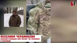 В Уфе имитировали отлов бездомных собак. Рассказ бывшего сотрудника ООО 