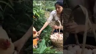 Chinese Hard working Girl| #Egg #chicken #Hardworking