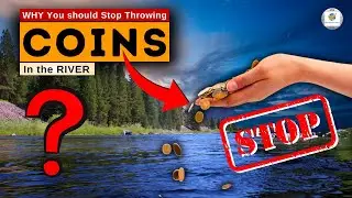 The Unexpected Science behind throwing Coins in the River | in Hindi | V S & M |
