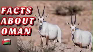 INCREDIBLE FACTS ABOUT OMAN 🇴🇲 | Mi Chelle