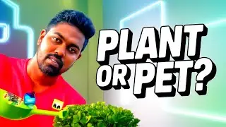 AI Planter or Plant Pet?