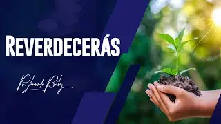 #15 REVERDECER&Aacute;S | Pastor Leonardo Bailey | Comunidad Misionera Bendici&oacute;n