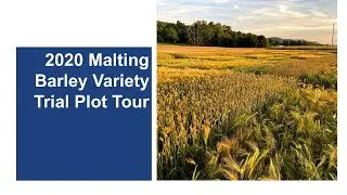 2020 Malting Barley Variety Trial Plot Tour