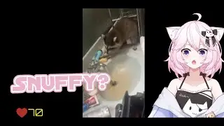 Nyanners Reacts to Unusual Memes