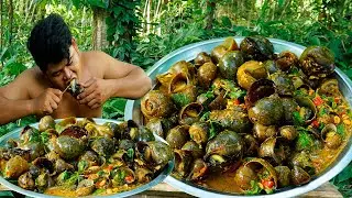 Collecting Snail Cooking with Hot Spicy Chili & Basil Eating Super Yummy - Cook Curry Snail Recipe