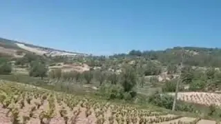 #EnoturismoParaSanitarios167 Bodegas! ValSotillo Bodegas Ismael Arroyo