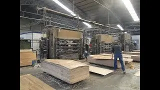veneer lamineted door kin hot press with complete processing /  0086-139 5619 9239