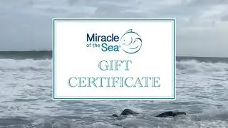 Miracle of the Sea Gift Certificate