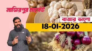 January 18, 2026 নাজিরপুর মার্কেট । রসুন । পেঁয়াজ । মুড়িকাটা পেঁয়াজ । Garlic । Onion । Business ।