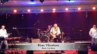 Black Cat Bone (Albert Collins/Poppa Hop) - Style Matt Schofield - Live  - Blues Vibrations