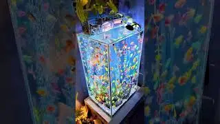 Colour Mix Fish Tank 🌈🐠 | Ultimate Color Explosion Aquarium.