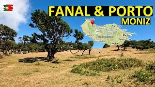 MADEIRA | PORTO MONIZ & FANAL je bez pochyby jedním z nejvyhledávanějších míst na ostrově