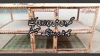 Brooding System | How to design Chicks brooder | Home made brooder system |  Poultry Farming |
