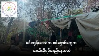 မင်းကွန်းဒေသက စစ်ရှောင်တွေက ဘယ်လိုရပ်တည်နေသလဲ