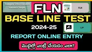 Как пройти базовый тест FLN (онлайн-запись 2024) | Отчёт о базовом тесте LIP (онлайн-запись @drmo...