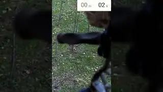 Hunting a 140-inch White Tail with Rage Broadhead Full Video On my channel #shorts #deerhunting