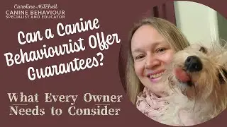 Can a Canine Behaviourist Offer Guarantees? - What Every Owner Needs to Consider