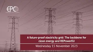 A future-proof electricity grid: The backbone for clean energy and REPowerEU