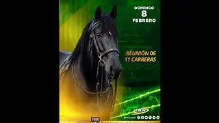 HIPISMO PROFESIONAL DOMINGO 08/02/26