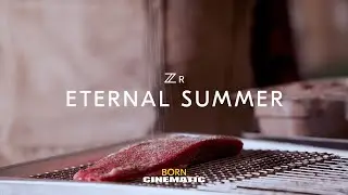 Nikon ZR | Eternal Summer