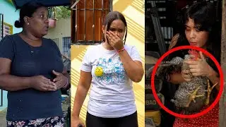 Se R0bó la GALLINA de su VECINA y le hechó la culpa a OTRA!! (Película completa)