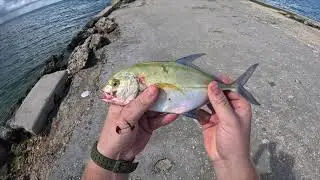 Fishing in Tonga