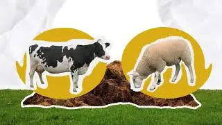 Korte geschiedenis van de boeren op de Hondsrug