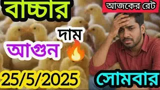 Today's Broiler & Sonali Chicken Wholesale Rates | 25 Aug 2025
