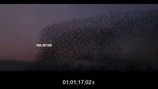 Main Title - 'Creation' - Rescored by Nina Madison
