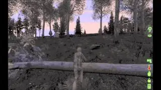 dayz world record