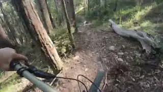 mapleton dh - sunshine coast