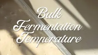 How to tell when your dough is done with bulk fermentation- Part 2 - Temperature 🌡️