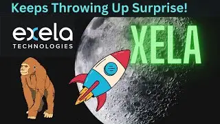XELA Stock: An Intriguing Play At The Moment