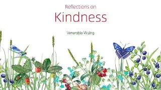 Reflections on Kindness