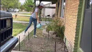 Creating a Goth Garden (part 1)