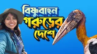 ভাগলপুরের হরেক পাখি । Birds of Bihar  Bhagalpur | Greater Adjutant Stork 
