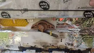 Jan 7 Lil'Hive updates #condensinghive #beekeeper #beehive #varroa #apimaye #Bee #hivegate
