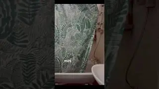 Shower 🚿🛀🏽🧽#selfcareroutine #showerroutine #stylebyreginagrey #котик #уходзасобой #врек