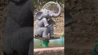 Elephant waterfall || Manish K Vlogs || #shorts