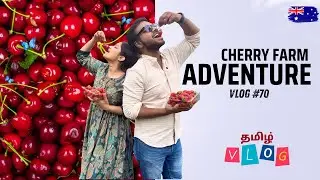 Видеоблог №70 Сбор вишни в Австралии 🍒 | Лучший опыт на ферме | Видеоблог на тамильском языке | А...