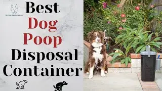 Best Dog Poop Disposal Containers