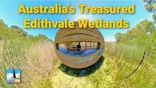 Edithvale Wetlands Australia's Treasure