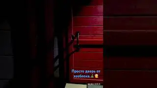 Просто дверь хозблока от Компании Малинка 💔 #shed #tinyhouse #ландшафтныйдизайн #садовыйдекор