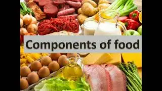Class-6 SCIENCE ch-2 Components of food ( topic-  component of food, their source and their function