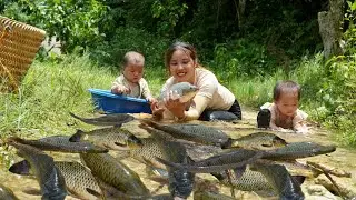 Single mother of 2 children harvests fish on rainy day to sell at market
