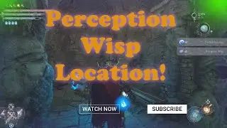 Perception Wisp Location