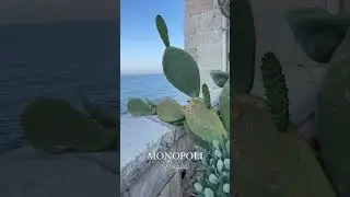 #apulia #viaggi #mare #vacanza #sorpresa #love #monopoli #puglia #sole #follow