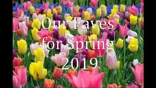 Our Faves for Spring 2019