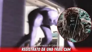 Le 9 Migliori Immagini di Creature Criptide PROVA REALE! Gli ultimi anni!